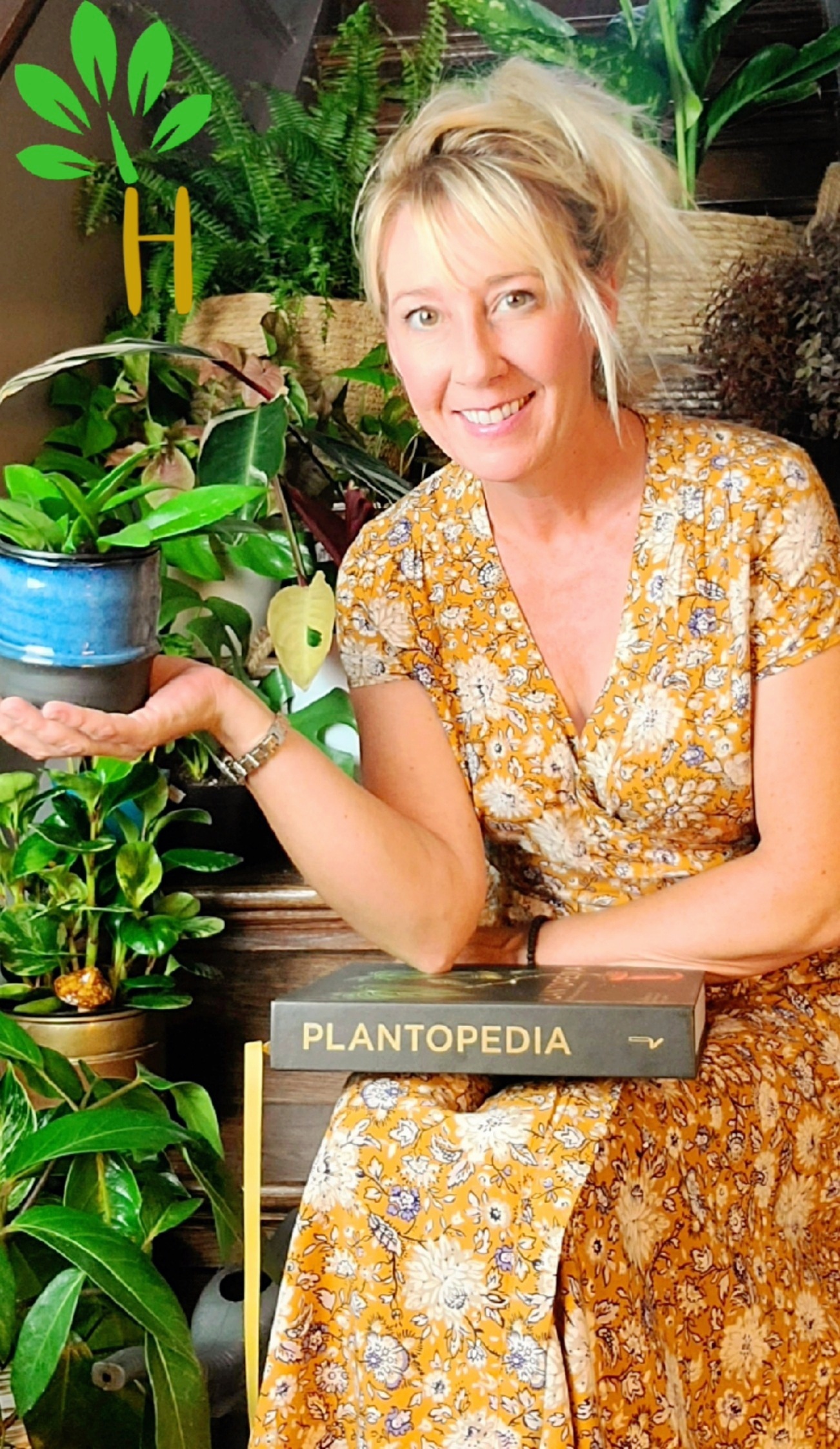 Indoor Plants Kingston Shop Happy Roots Houseplants